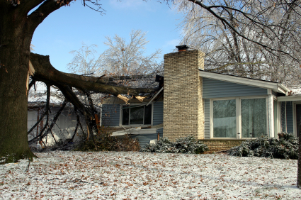 A large oak tree fallen on a house after a terrible ice and snow storm!