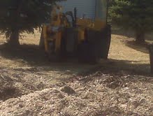 Stump Grinding Savage, MN