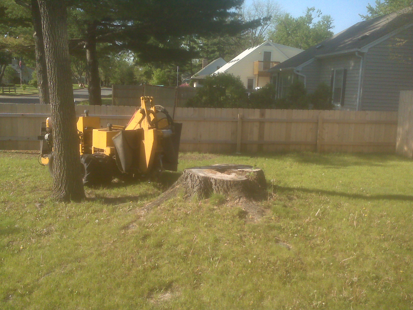 Stump Grind and Clean Bloomington, MN