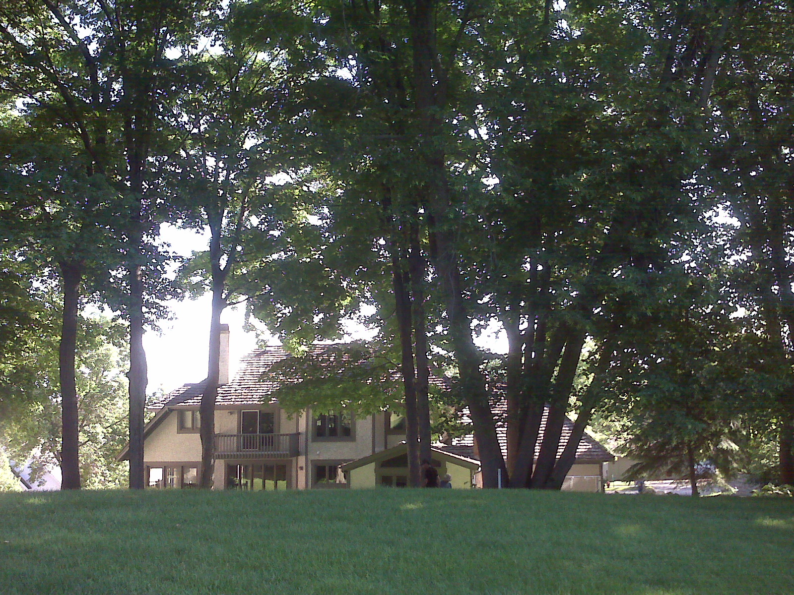 Tree Removal Eden Prairie, MN