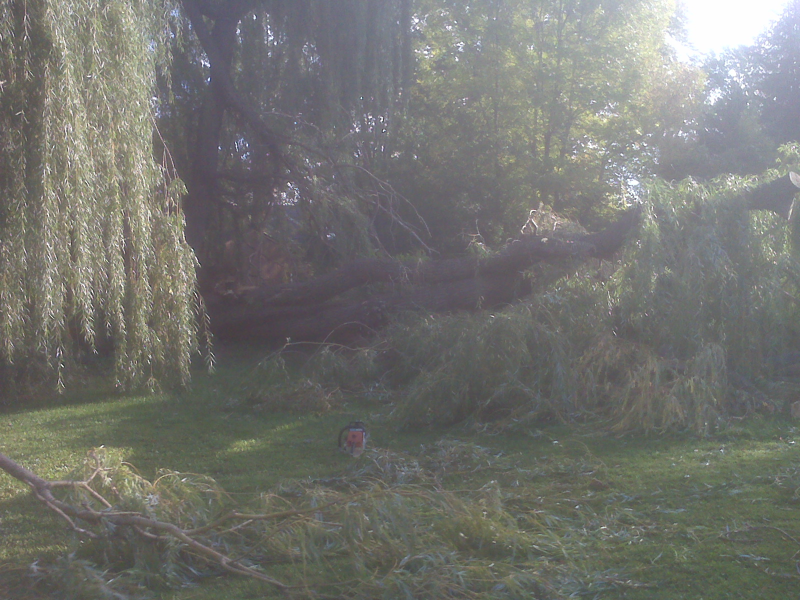 Storm Damage Clean-Up in Savage, MN