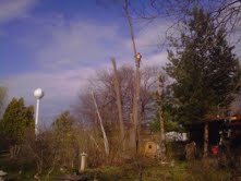 Tree Removal Shakopee, MN