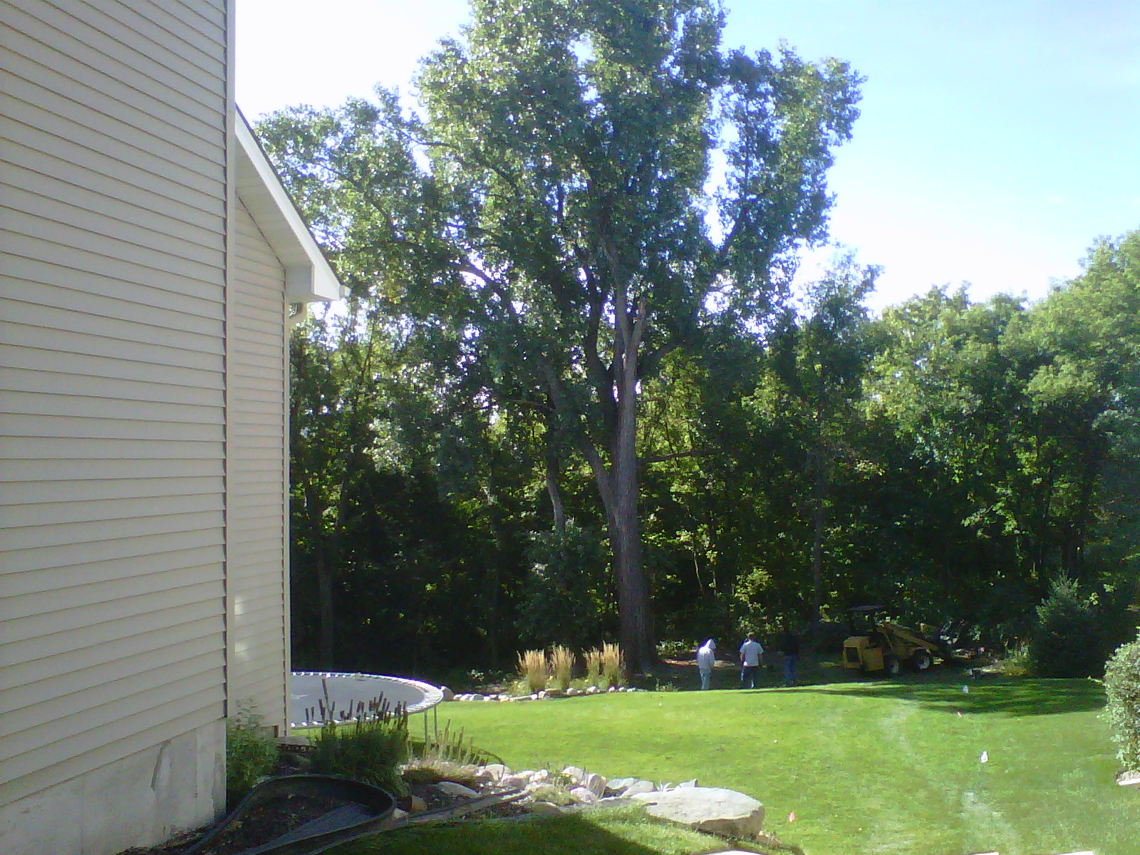 Tree Removal Eagan, MN