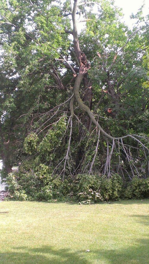 Storm Damage Off Lake Minnetonka in Orono, MN