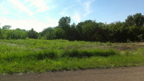 Tree Removal/Lot Clearing in Shakopee, MN